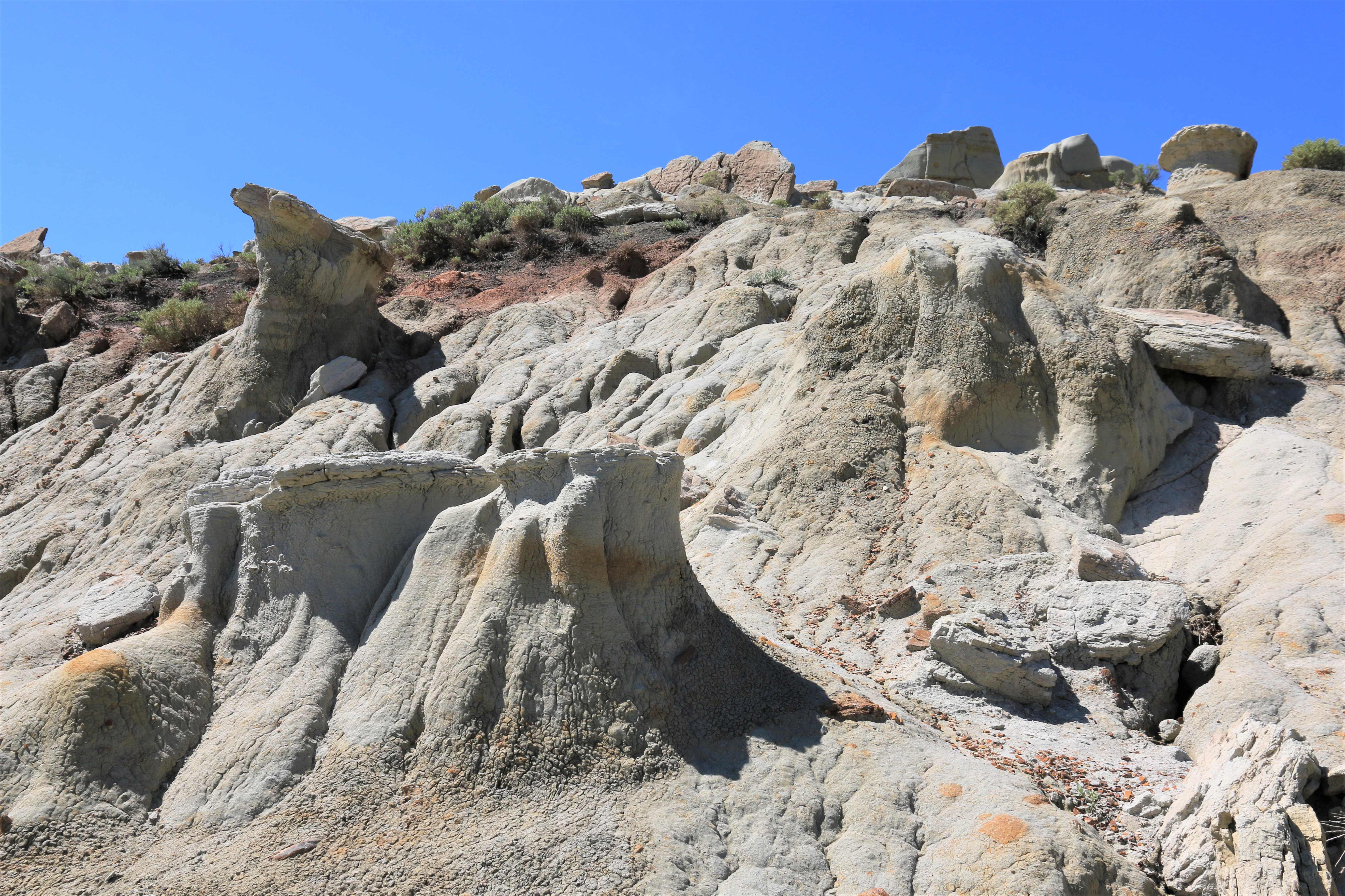 Theodore Roosevelt NP